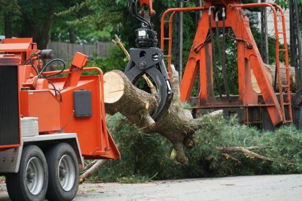 Best Grass Overseeding  in Blairsville, PA